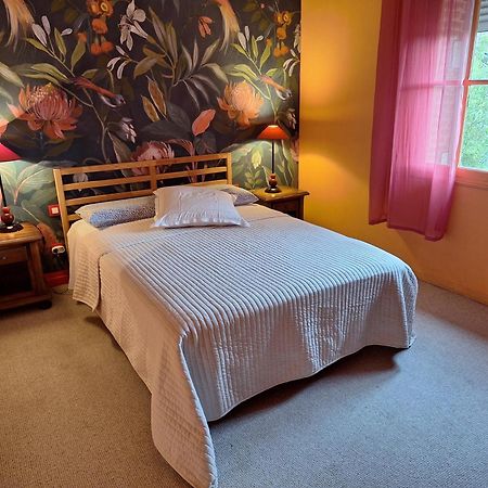 Ma Toulousaine Chambre D'Hotes 圖盧茲 外观 照片